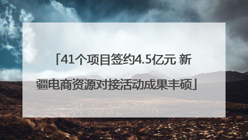 41个项目签约4.5亿元 新疆电商资源对接活动成果丰硕
