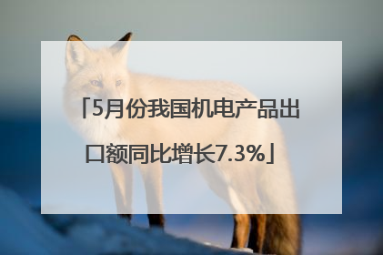 5月份我国机电产品出口额同比增长7.3%