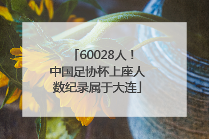 60028人！中国足协杯上座人数纪录属于大连