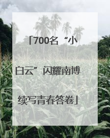 700名“小白云”闪耀南博续写青春答卷