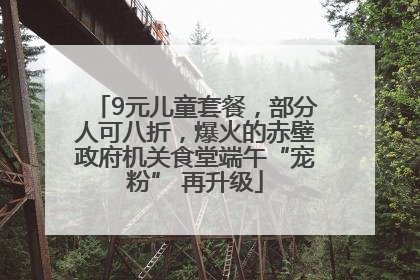 9元儿童套餐，部分人可八折，爆火的赤壁政府机关食堂端午“宠粉” 再升级