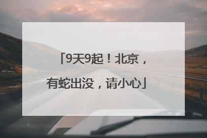 9天9起！北京，有蛇出没，请小心